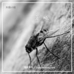 片段小說 11 - 蒼蠅