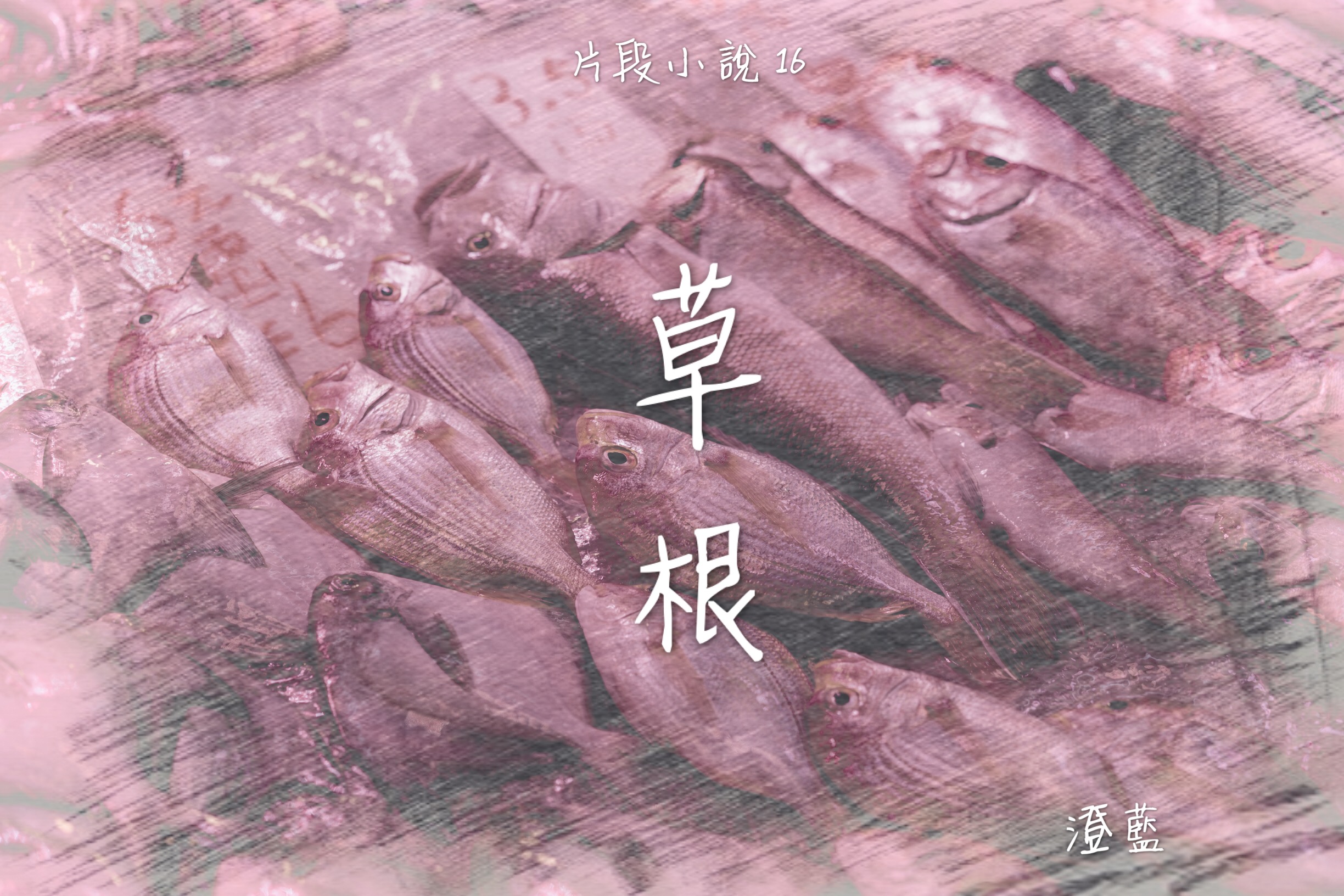 草根 – 片段小說 16