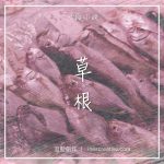 片段小說 16 - 草根